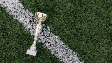 5 Bintang Crystal Palace: Sukses Cemerlang Usai Tinggalkan Selhurst Park