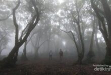 Misteri Gunung Jawa Barat: Kisah Nyata Pendaki Tersesat