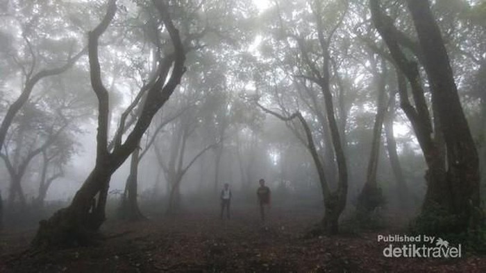 Misteri Gunung Jawa Barat: Kisah Nyata Pendaki Tersesat