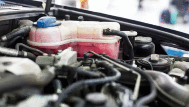 Radiator Mobil Bocor? Temukan Penyebab & Solusinya Sekarang!