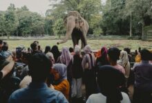 Rahasia Liburan Tenang di Destinasi Wisata Ramai