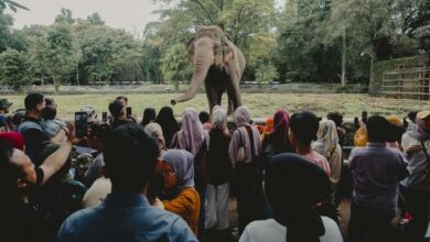 Rahasia Liburan Tenang di Destinasi Wisata Ramai
