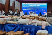 BNN & Bea Cukai Bongkar Jaringan Narkoba Raksasa: 285 Tersangka Ditangkap!
