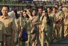 CPNS 2025: Waspada Penipuan! Jadwal Resmi Belum Diumumkan BKN