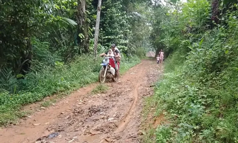 Desa Bojongsalam Bandung Barat: Jalan Tanah Merah, Isolasi atau Keindahan Tersembunyi?