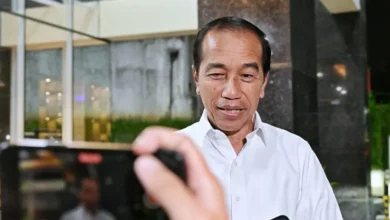 Jokowi Diduga Idap Stevens-Johnson Syndrome? Fakta & Gejalanya Terungkap!
