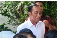 Jokowi Usia 64: Kondisi Kesehatan Presiden Jadi Sorotan Publik
