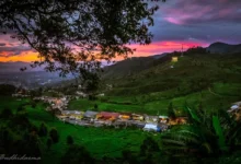 Liburan Puncak Bogor Long Weekend Juni 2025: 7 Surga Tersembunyi