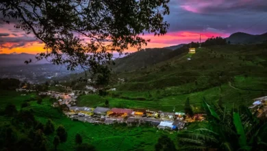 Liburan Puncak Bogor Long Weekend Juni 2025: 7 Surga Tersembunyi