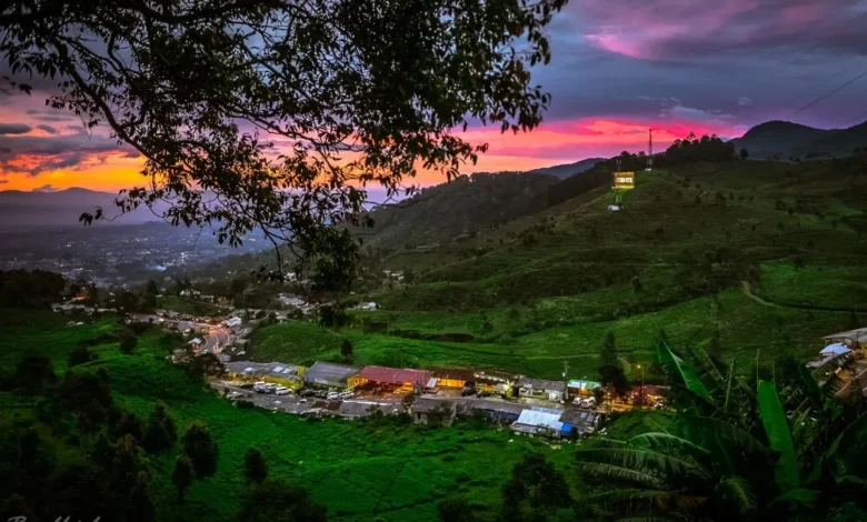 Liburan Puncak Bogor Long Weekend Juni 2025: 7 Surga Tersembunyi