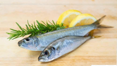 MPASI Ikan Sarden: 4 Resep Nutrisi & Manfaatnya