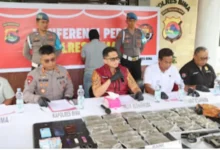 Modus Budidaya Ganja Langka Terungkap di Bima, NTB