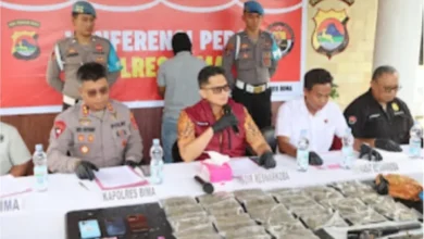 Modus Budidaya Ganja Langka Terungkap di Bima, NTB