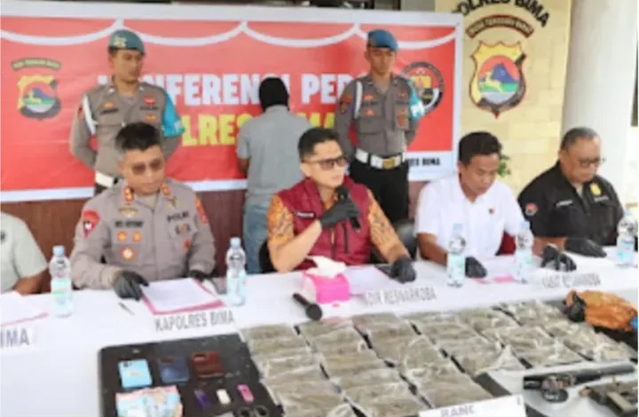Modus Budidaya Ganja Langka Terungkap di Bima, NTB