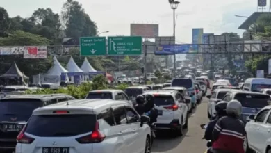 One Way & Ganjil Genap Puncak Bogor Hari Ini: Cek Rute Tercepat