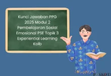 Rahasia Sukses PPG 2025: Kuasai Modul 2 PSE Experiential Learning Kolb!