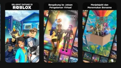 Remaja Blitar Sukses Raup Dolar dari Animasi Roblox: Belajar Otodidak YouTube