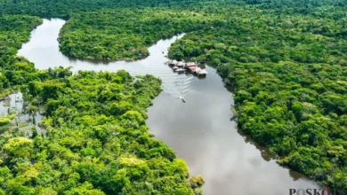 Rinjani, Amazon: Netizen Indonesia Ramai Kritik Selebgram, Mengapa?