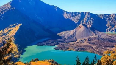 Rinjani: Rating Google Maps Anjlok, Tragedi Pendaki Brasil?