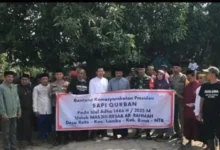 Sapi Limosin 820 Kg: Kado Idul Adha 2025 Prabowo untuk Bima