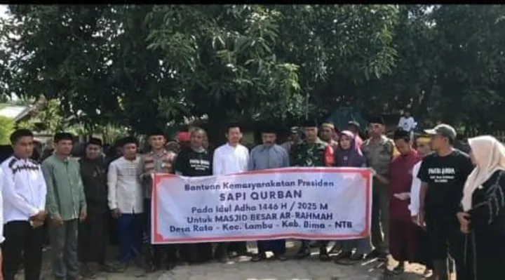 Sapi Limosin 820 Kg: Kado Idul Adha 2025 Prabowo untuk Bima