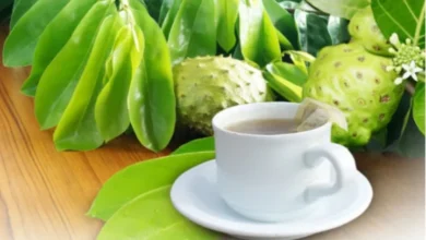 Sirsak: Rahasia Kesehatan Luar Biasa dr. Zaidul Akbar