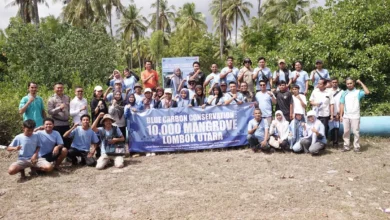 Telkom Lestarikan Lombok Utara: 10.000 Bibit Mangrove Selamatkan Pesisir