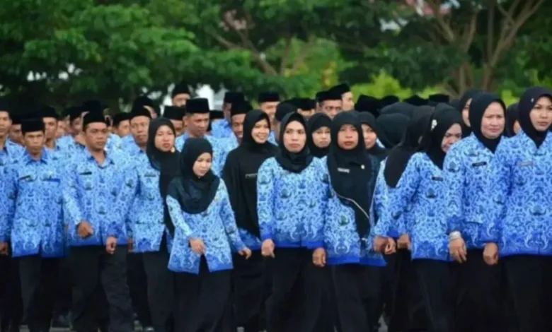 Gaji PPPK 2025: Honorer Cair Agustus, Cek Besarannya!