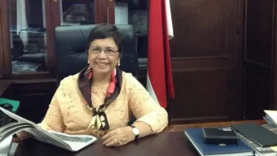 Kartini Sjahrir: Calon Dubes Jepang, Adik Luhut Binsar Pandjaitan