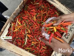 Cabai Rawit Tembus Rp160 Ribu per Kg, Pemprov Maluku Jual Rp40 Ribu Lewat Pangan Murah