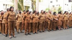 Gerak Cepat Investigasi , 20 Guru Terindikasi Korban SK Bodong di Lingkup Pemkot Ambon